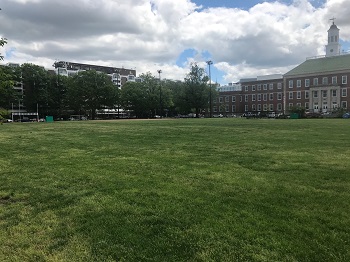 Jefferson Field Field Grass